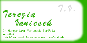terezia vanicsek business card